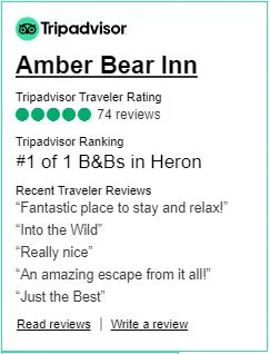 Tripadvisor Reviews